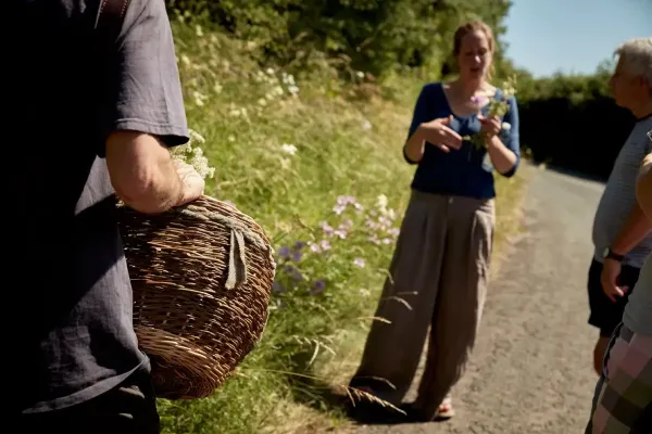 Guided Foraging Walk with Liz Knight